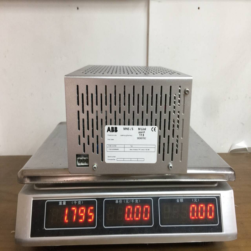 1TGE102009R4800 ABB (2)