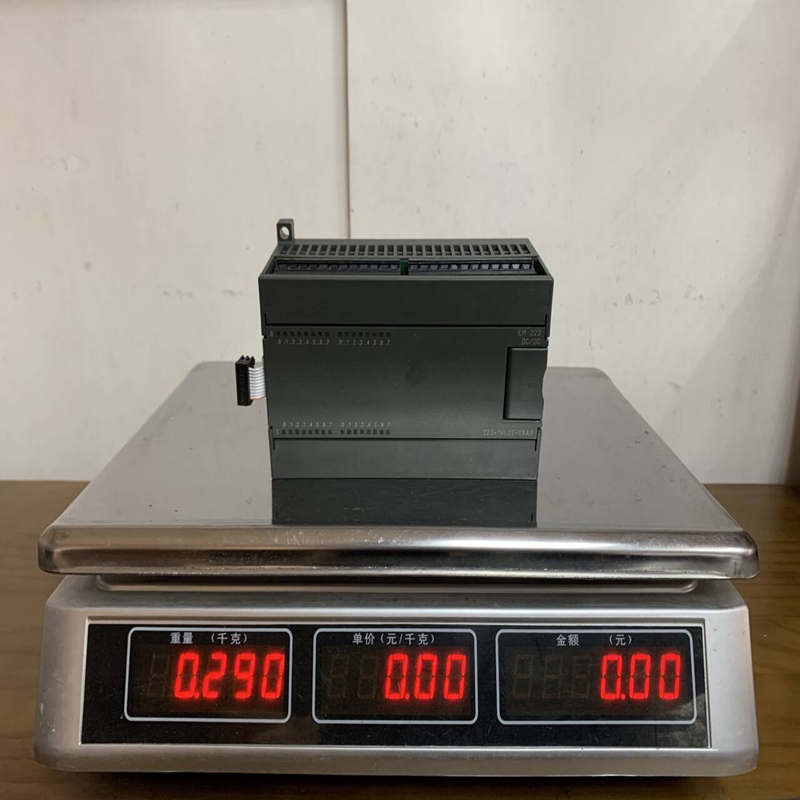 6ES7223-1BL22-0XA0 Siemens (2)