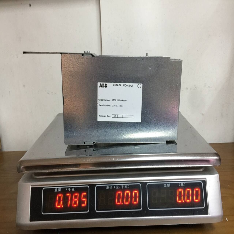 1TGE120010R1000 ABB (2)