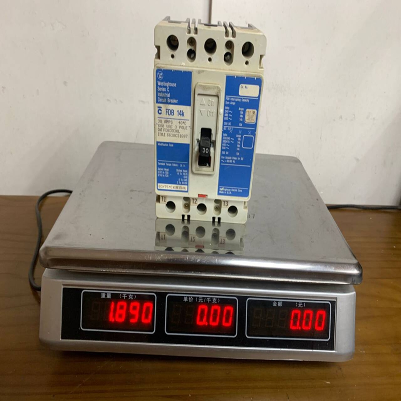 Westinghouse FDB3030L (1)