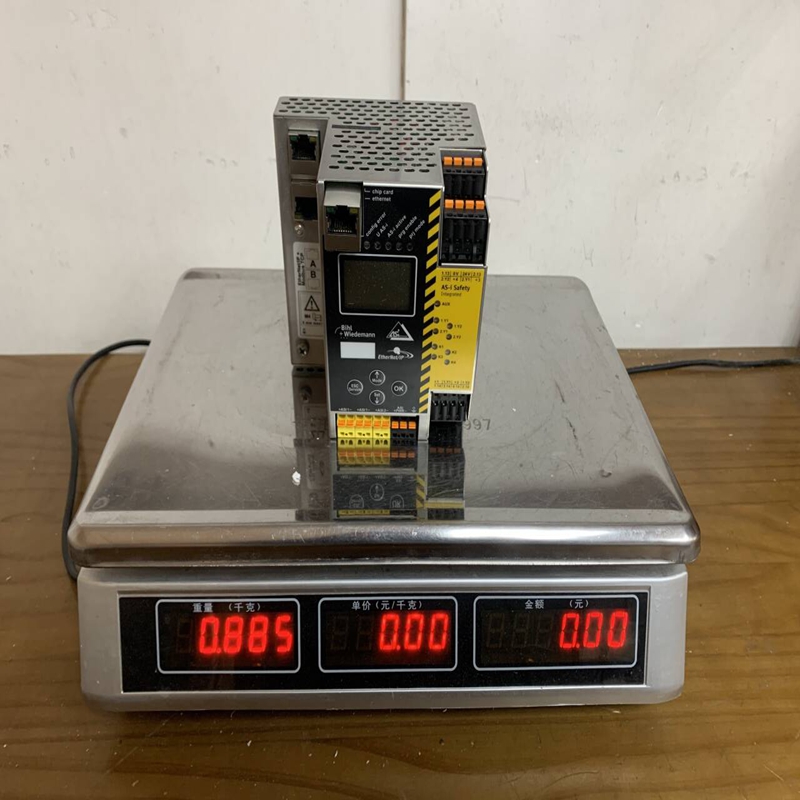 Bihl+Wiedemann BWU2579 (1)