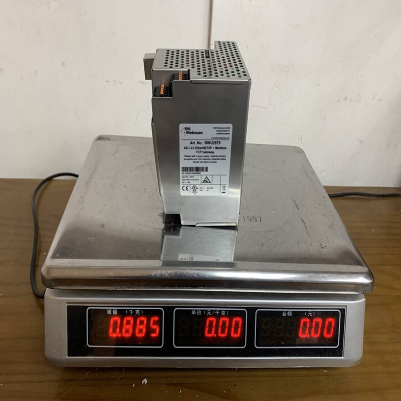 Bihl+Wiedemann BWU2579 (2)