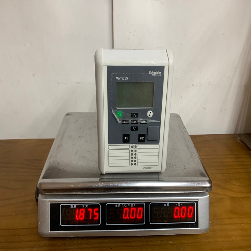 Schneider VAMP55 (1)