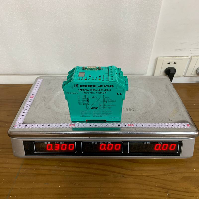 Pepper+Fuchs VBG-PB-KF-R4 (1)