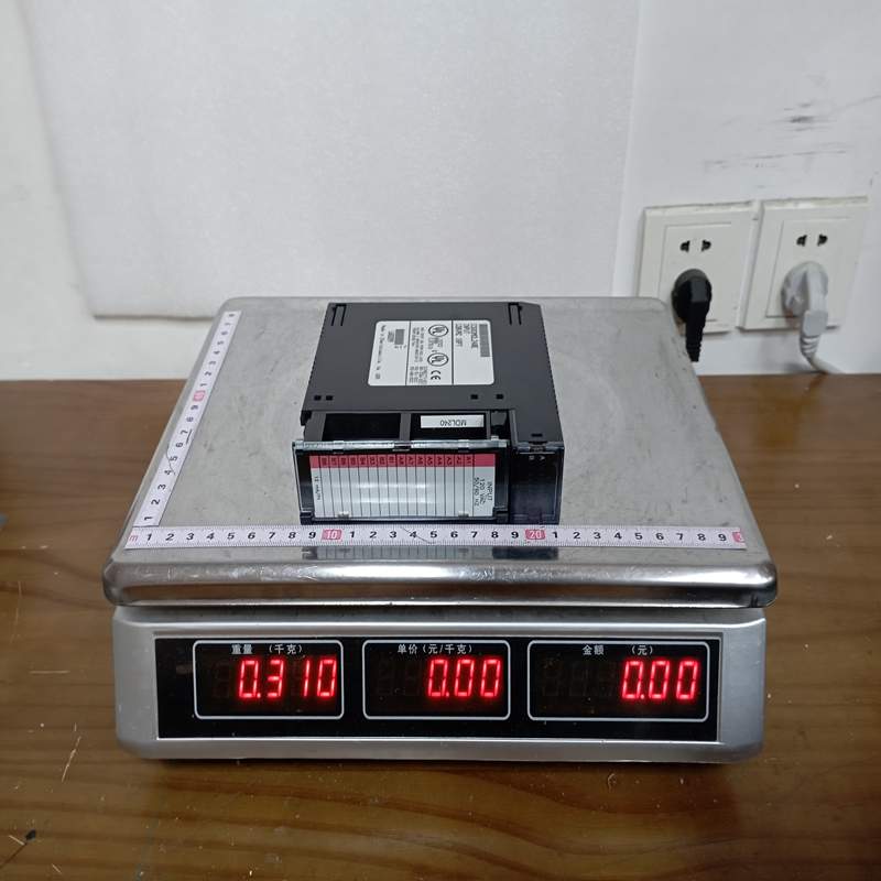 GE IC693MDL240E (2)