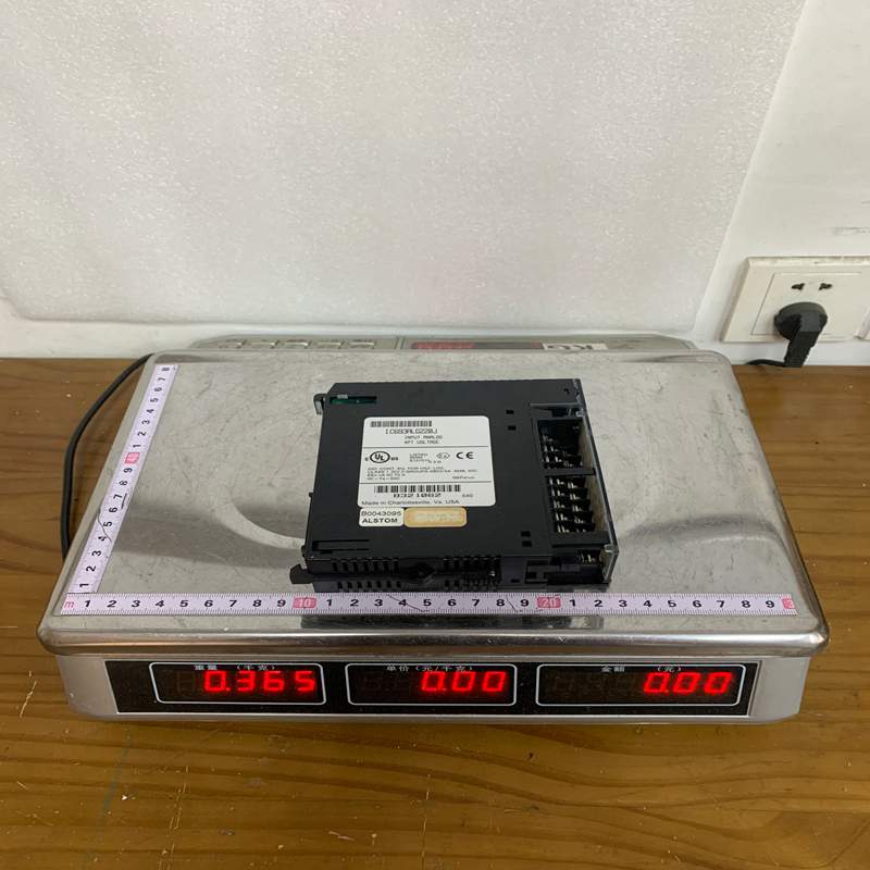 GE IC693ALG220J (1)